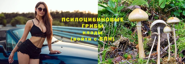 трава Баксан